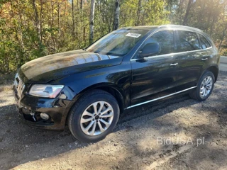 AUDI Q5 TDI PREMIUM PLUS