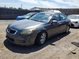 HONDA ACCORD EXL