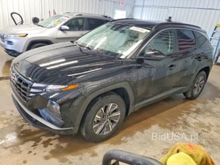 HYUNDAI TUCSON BLUE
