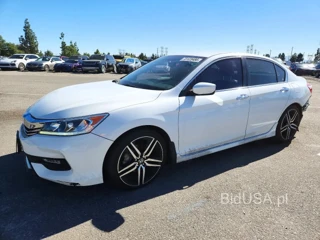 HONDA ACCORD SPORT