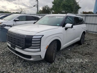 HYUNDAI PALISADE CALLIGRAPHY
