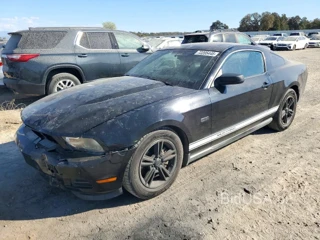 FORD MUSTANG