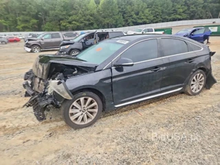 HYUNDAI SONATA SPORT