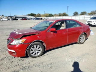 TOYOTA CAMRY XLE V6