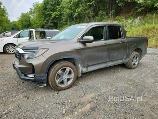 HONDA RIDGELINE RTL