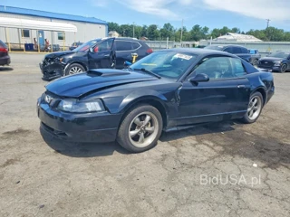 FORD MUSTANG GT