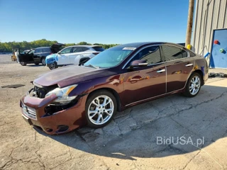 NISSAN MAXIMA 3.5 SV