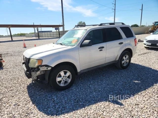 FORD ESCAPE XLT