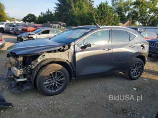 LEXUS NX 350 PREMIUM