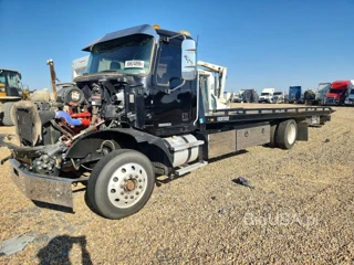MACK MD