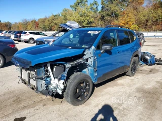 SUBARU FORESTER WILDERNESS