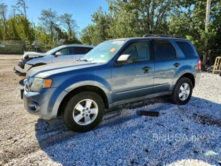 FORD ESCAPE XLT