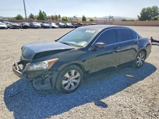 HONDA ACCORD EXL