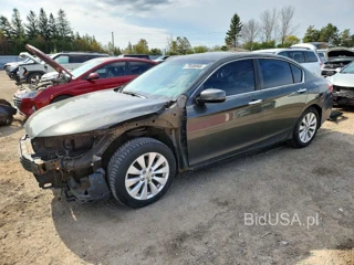 HONDA ACCORD EXL