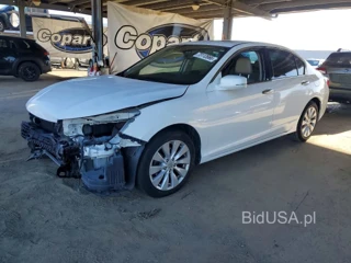 HONDA ACCORD EXL