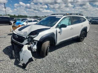 SUBARU OUTBACK WILDERNESS