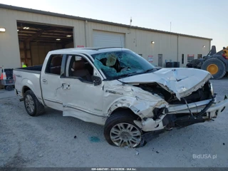 FORD FORD F-150 PLATINUM
