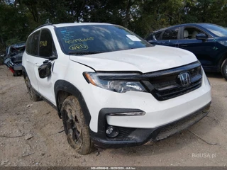 HONDA HONDA PILOT AWD TRAILSPORT