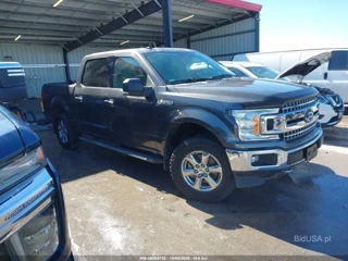 FORD FORD F-150 XLT
