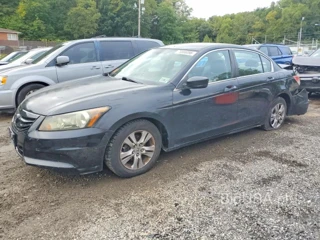HONDA ACCORD SE