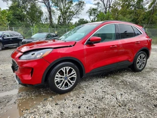 FORD ESCAPE SEL