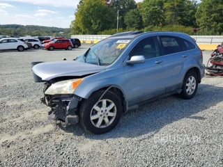 HONDA CR-V EXL