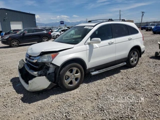 HONDA CR-V EXL