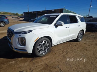 HYUNDAI PALISADE CALLIGRAPHY