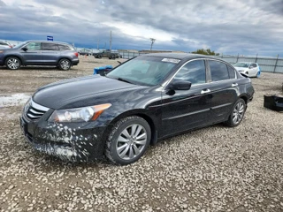 HONDA ACCORD EXL