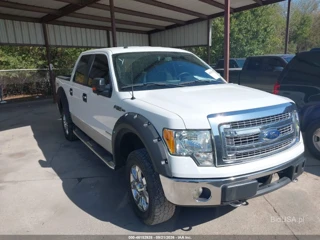 FORD FORD F-150 XLT