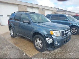FORD FORD ESCAPE XLT
