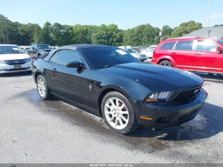 FORD FORD MUSTANG V6/V6 PREMIUM