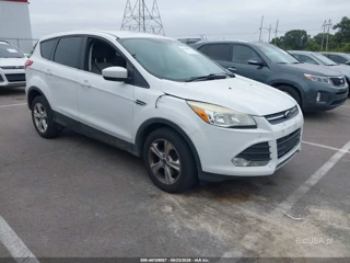 FORD FORD ESCAPE SE