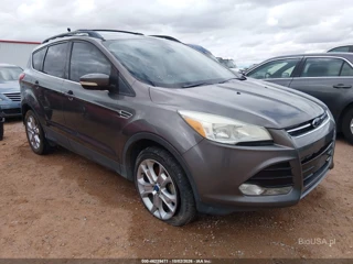 FORD FORD ESCAPE SEL