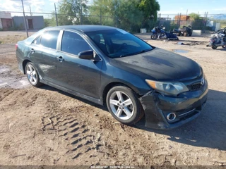 TOYOTA TOYOTA CAMRY SE
