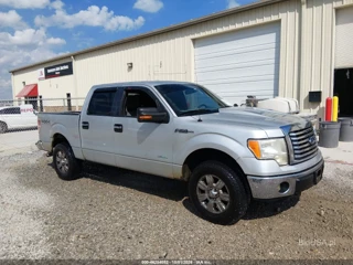 FORD FORD F-150 XLT