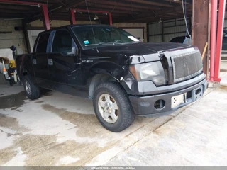 FORD FORD F-150 XLT