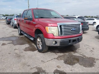 FORD FORD F-150 FX2 SPORT/HARLEY-DAVIDSON/KING RANCH/LARIAT/PLATINUM/XL/XLT