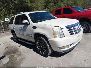 CADILLAC CADILLAC ESCALADE STANDARD
