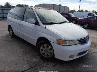 HONDA HONDA ODYSSEY EX