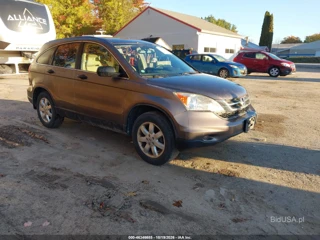 HONDA HONDA CR-V SE