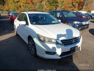 HONDA HONDA ACCORD SPORT