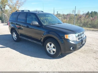 FORD FORD ESCAPE XLT