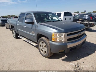 CHEVROLET CHEVROLET SILVERADO 1500 LT
