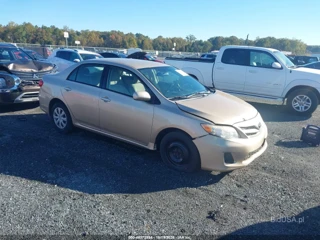 TOYOTA TOYOTA COROLLA LE