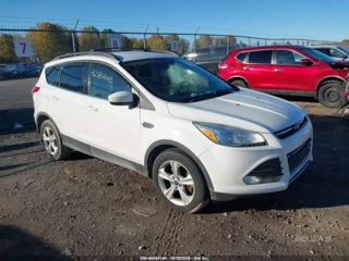 FORD FORD ESCAPE SE