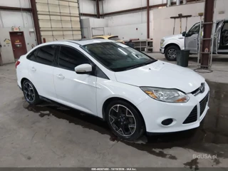 FORD FORD FOCUS SE