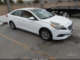 HYUNDAI HYUNDAI SONATA SE