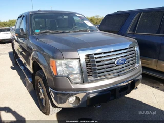 FORD FORD F-150 FX4/HARLEY-DAVIDSON/KING RANCH/LARIAT/PLATINUM/XL/XLT