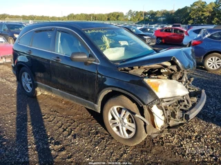 HONDA HONDA CR-V EX